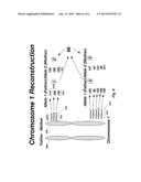 Method For Molecular Genealogical Research diagram and image