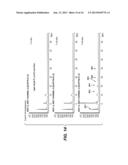 Variant Alpha-Amylases from Bacillus Subtilis and Methods of Uses, Thereof diagram and image