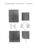 Multilayer Laminated Articles Including Poly(ureaurethane) Layers and     Methods of Making the Same diagram and image