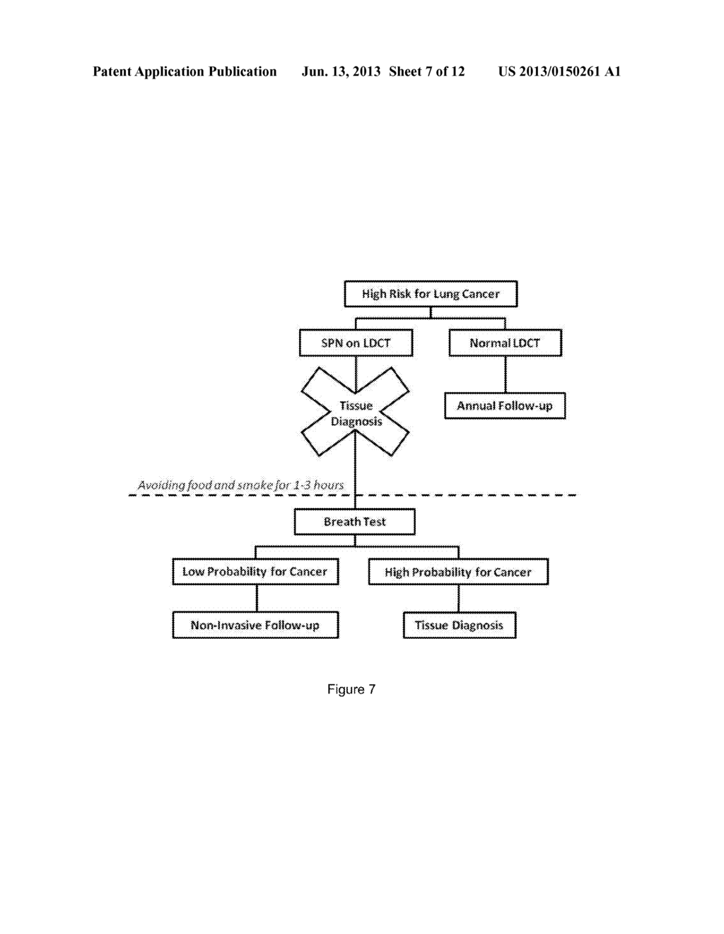 BREATH ANALYSIS OF PULMONARY NODULES - diagram, schematic, and image 08