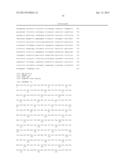 HUMAN T2R NUCLEIC ACID SEQUENCES diagram and image