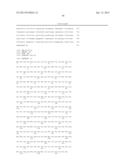 HUMAN T2R NUCLEIC ACID SEQUENCES diagram and image