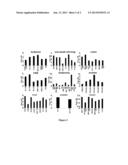 9-AMINONOSCAPINE AND ITS USE IN TREATING CANCERS, INCLUDING DRUG-RESISTANT     CANCERS diagram and image