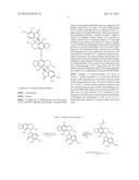 9-AMINONOSCAPINE AND ITS USE IN TREATING CANCERS, INCLUDING DRUG-RESISTANT     CANCERS diagram and image