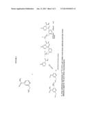 RATIONALLY IMPROVED ISONIAZID AND ETHIONAMIDE DERIVATIVES AND ACTIVITY     THROUGH SELECTIVE ISOTOPIC SUBSTITUTION diagram and image