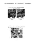 TISSUE MODIFICATION DEVICES AND METHODS diagram and image