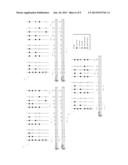 Chromatic Tambin and Related Methods diagram and image