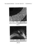 Stabilization of Porous Morphologies for High Performance Carbon Molecular     Sieve Hollow Fiber Membranes diagram and image