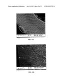 Stabilization of Porous Morphologies for High Performance Carbon Molecular     Sieve Hollow Fiber Membranes diagram and image