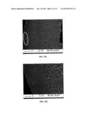 Stabilization of Porous Morphologies for High Performance Carbon Molecular     Sieve Hollow Fiber Membranes diagram and image