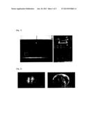 INDOOR ARTIFICIAL BREEDING METHOD OF TERMITE diagram and image