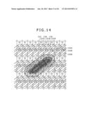 DISPLAY DEVICE, METHOD OF LAYING OUT LIGHT EMITTING ELEMENTS, AND     ELECTRONIC DEVICE diagram and image