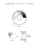 Layered Dimmer system diagram and image