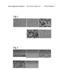 SEMI-HEUSLER/HEUSLER ALLOYS HAVING TAILORED PHASE SEPARATION diagram and image