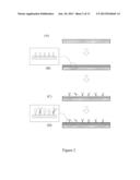 C-REACTIVE PROTEIN IMPRINTED POLYMER FILM AND MICROCHIP SYSTEM UTILIZING     THE SAME diagram and image