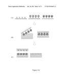 C-REACTIVE PROTEIN IMPRINTED POLYMER FILM AND MICROCHIP SYSTEM UTILIZING     THE SAME diagram and image