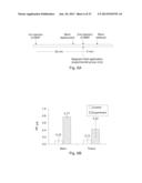 Uniform field magnetization and targeting of therapeutic formulations diagram and image