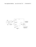 Uniform field magnetization and targeting of therapeutic formulations diagram and image