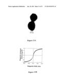 Uniform field magnetization and targeting of therapeutic formulations diagram and image