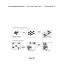 Uniform field magnetization and targeting of therapeutic formulations diagram and image