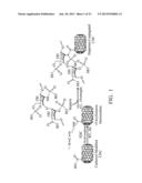 ANTICOAGULANT-CONJUGATED CARBON NANOCAPSULE, ANTITHROMBOTIC AGENT     CONTAINING THEREOF diagram and image