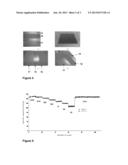 ELECTRODE FOR LITHIUM BATTERIES AND ITS METHOD OF MANUFACTURE diagram and image