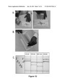 ABSCRIPTION BASED MOLECULAR DETECTION OF DNA METHYLATION diagram and image