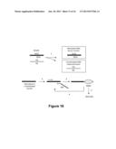 ABSCRIPTION BASED MOLECULAR DETECTION OF DNA METHYLATION diagram and image