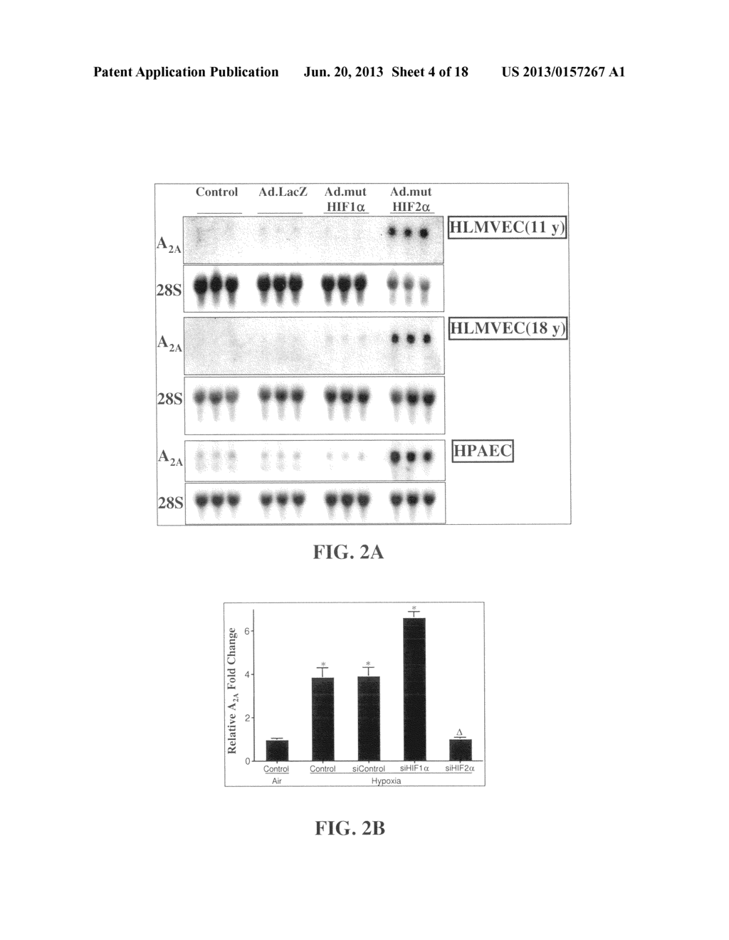  - diagram, schematic, and image 05