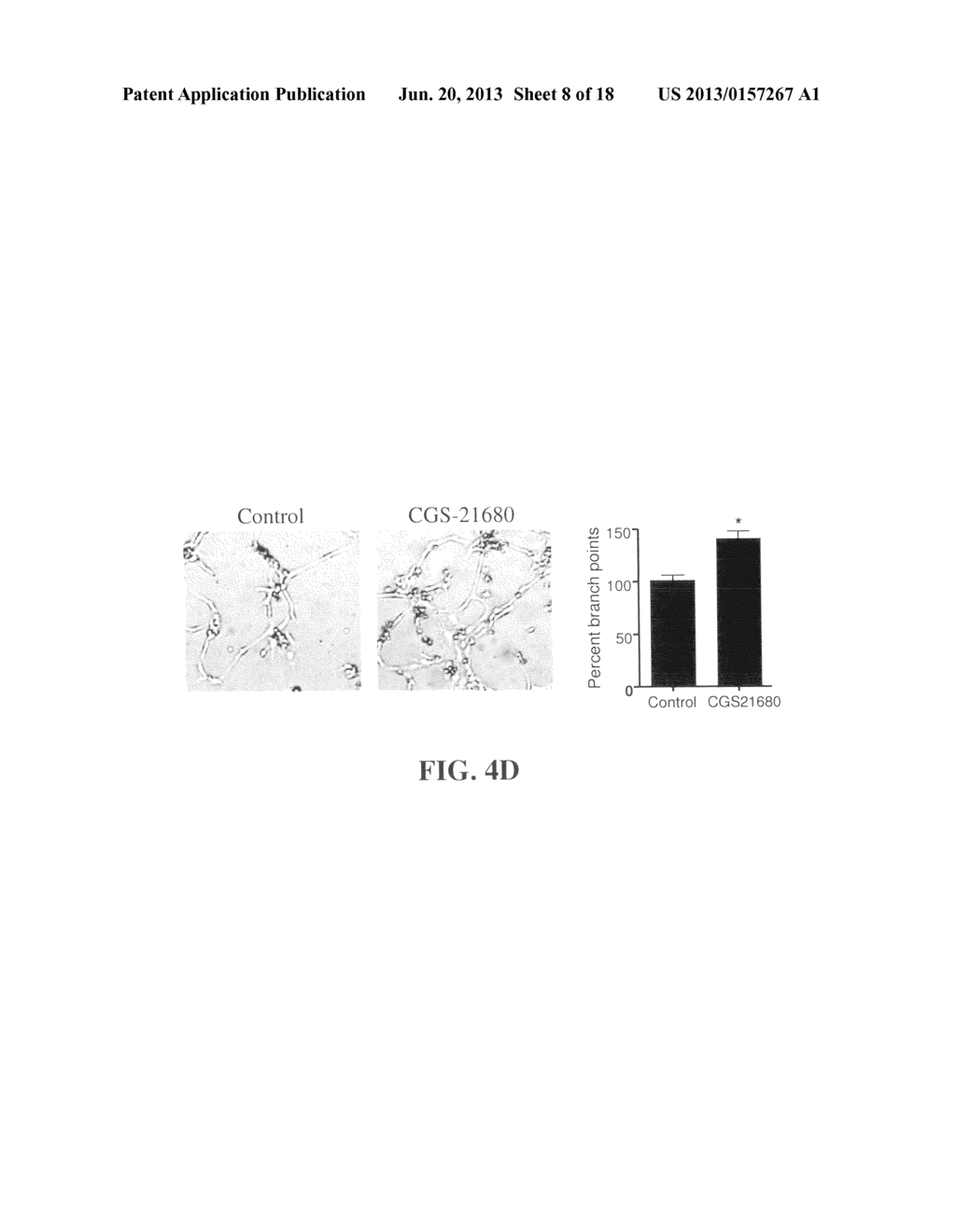 Marker for Cancer Prognosis and Methods Related Thereto - diagram, schematic, and image 09