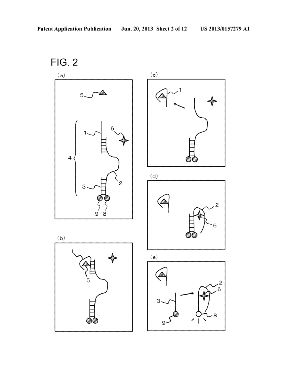 METHOD FOR DETECTING TARGET SUBSTANCE AND APTAMER SET, SENSOR, AND     APPARATUS USED IN THE METHOD - diagram, schematic, and image 03