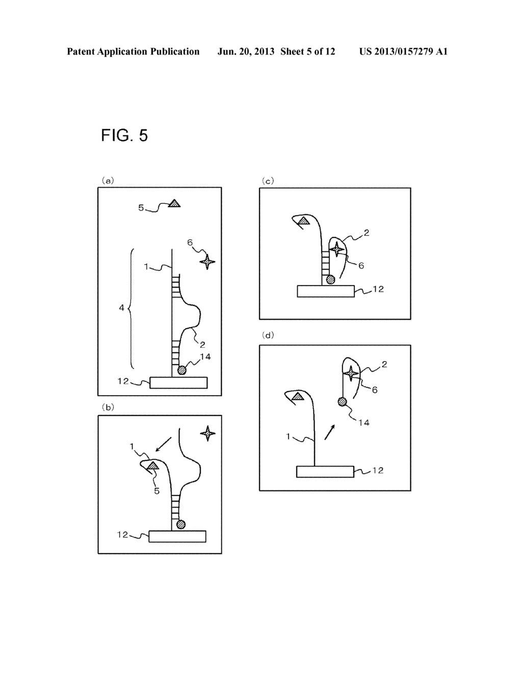 METHOD FOR DETECTING TARGET SUBSTANCE AND APTAMER SET, SENSOR, AND     APPARATUS USED IN THE METHOD - diagram, schematic, and image 06