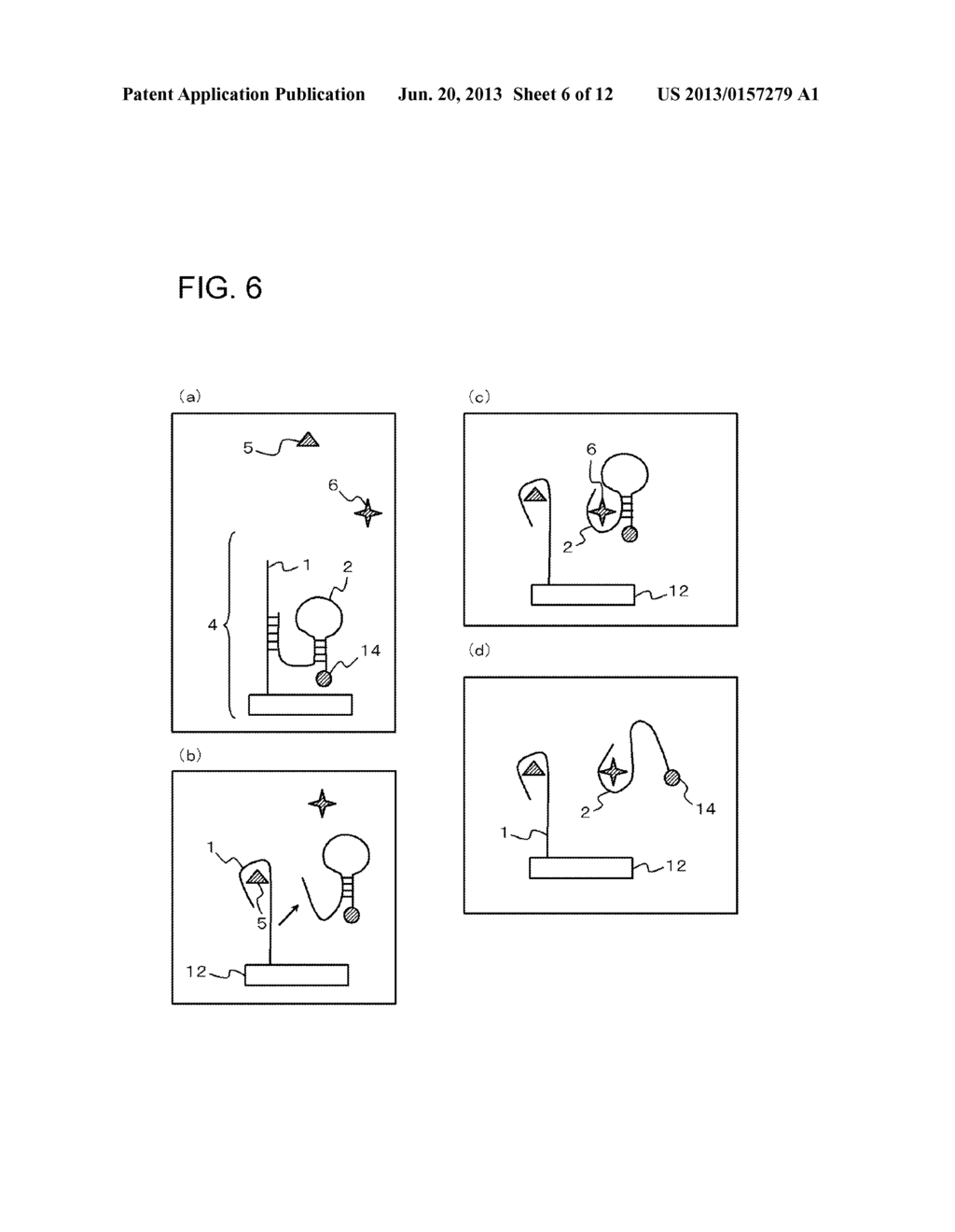 METHOD FOR DETECTING TARGET SUBSTANCE AND APTAMER SET, SENSOR, AND     APPARATUS USED IN THE METHOD - diagram, schematic, and image 07