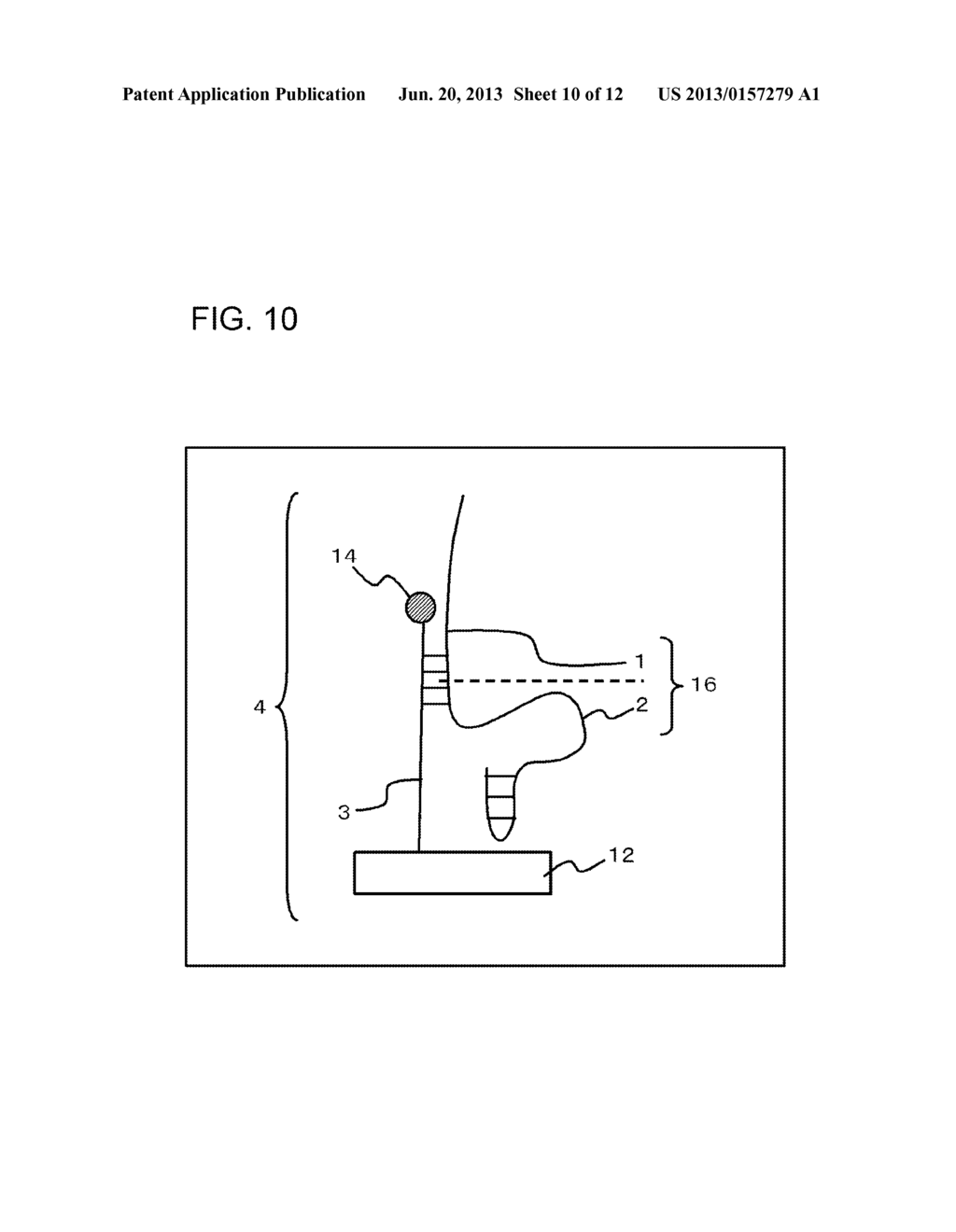 METHOD FOR DETECTING TARGET SUBSTANCE AND APTAMER SET, SENSOR, AND     APPARATUS USED IN THE METHOD - diagram, schematic, and image 11