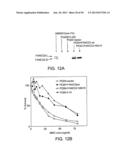 Methods and Compositions for the Diagnosis of Cancer Susceptibilities and     Defective DNA Repair Mechanisms and Treatment Thereof diagram and image