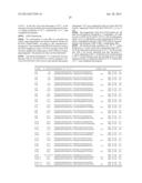 Methods and Compositions for the Diagnosis of Cancer Susceptibilities and     Defective DNA Repair Mechanisms and Treatment Thereof diagram and image