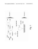 Methods of obtaining genetic competence in bacillus cells diagram and image