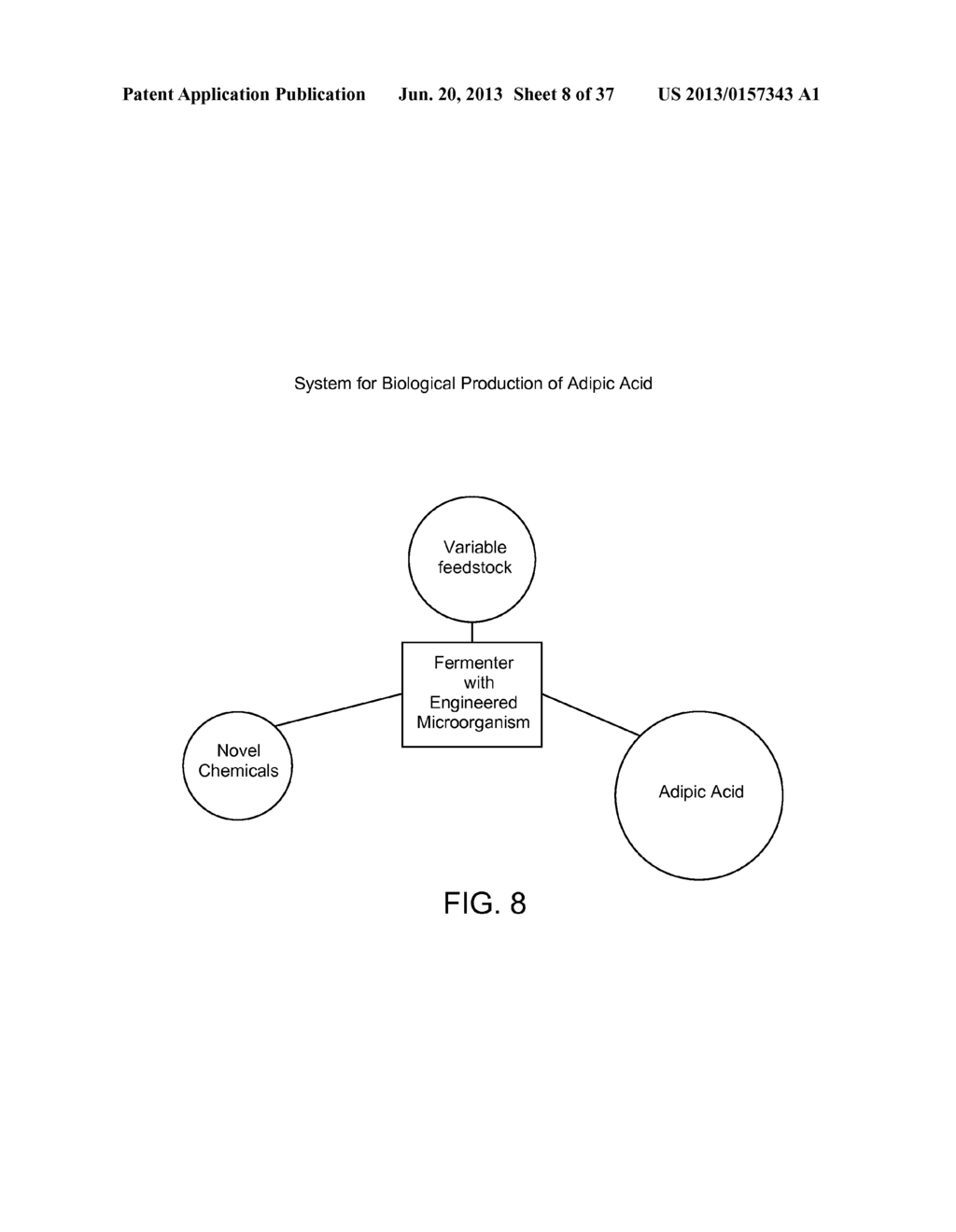 BIOLOGICAL METHODS FOR PREPARING ADIPIC ACID - diagram, schematic, and image 09