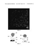 BIOCHIPS FOR ANALYZING NUCLEIC ACID MOLECULE DYNAMICS diagram and image