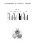 USE OF HADES AS TUMOR SUPPRESSOR TARGET diagram and image