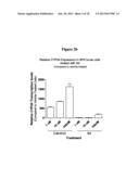 1-DEOXY ANALOGS OF 1,25-DIHYDROXYVITAMIN D3 COMPOUNDS diagram and image