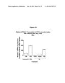 1-DEOXY ANALOGS OF 1,25-DIHYDROXYVITAMIN D3 COMPOUNDS diagram and image