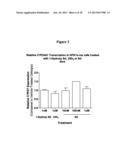 1-DEOXY ANALOGS OF 1,25-DIHYDROXYVITAMIN D3 COMPOUNDS diagram and image