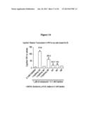 1-DEOXY ANALOGS OF 1,25-DIHYDROXYVITAMIN D3 COMPOUNDS diagram and image