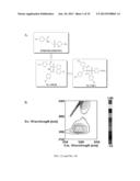 Compounds, Compositions and Methods Related to PPAR Antagonists diagram and image