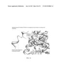 Compounds, Compositions and Methods Related to PPAR Antagonists diagram and image