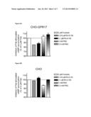 GPR 17 Agonists and Screening Assay diagram and image