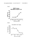 GPR 17 Agonists and Screening Assay diagram and image