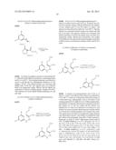 GPR 17 Agonists and Screening Assay diagram and image