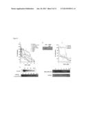 Compositions and Methods for Depleting Mutant p53 diagram and image